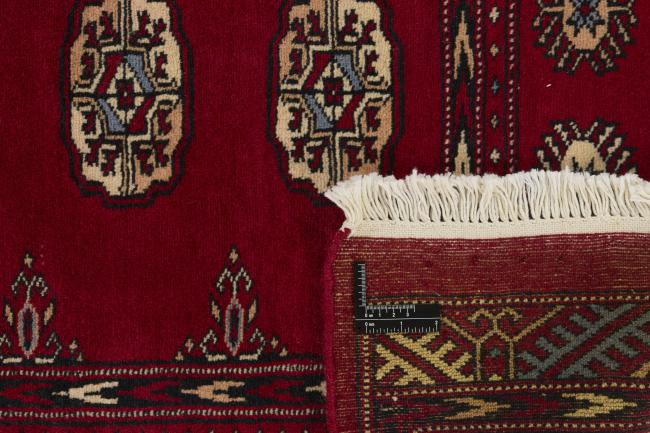 Pakistan Buchara 2ply - 1