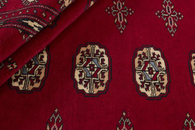 Pakistan Buchara 2ply - 2