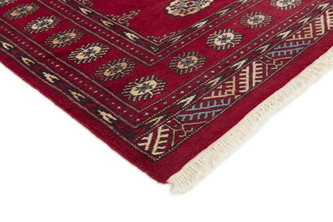Pakistan Buchara 2ply - 3