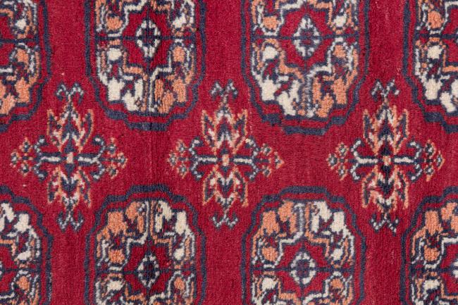 Pakistan Bukhara 3ply Alt - 6