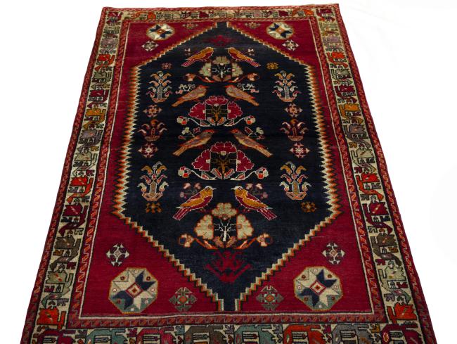 Shiraz - 3