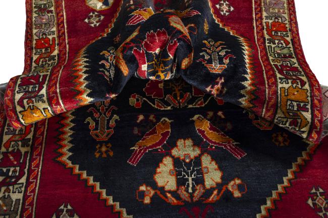 Shiraz - 8