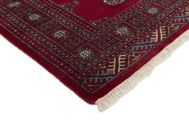 Pakistan Buchara 2ply - 3