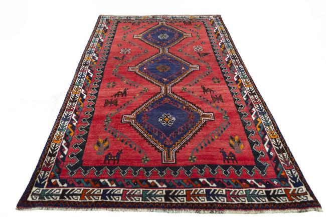 Shiraz - 4