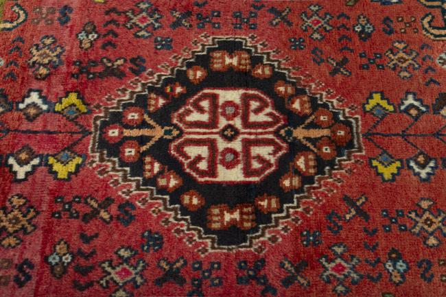 Shiraz - 5