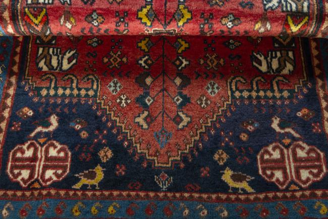 Shiraz - 8