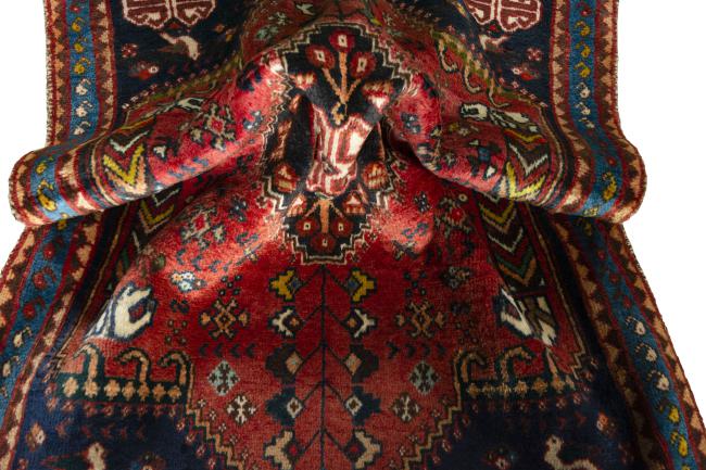 Shiraz - 9