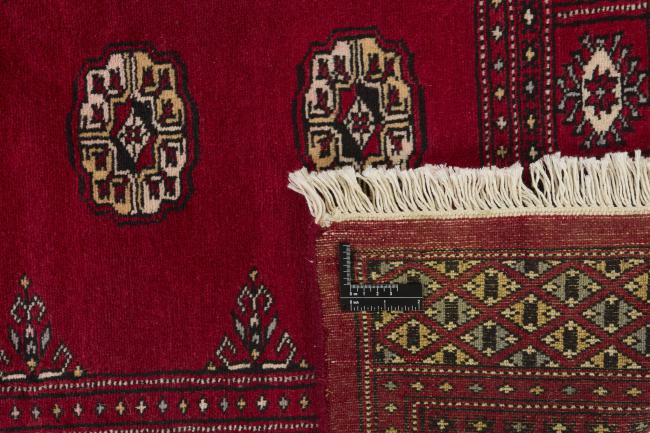 Pakistan Buchara 2ply - 1