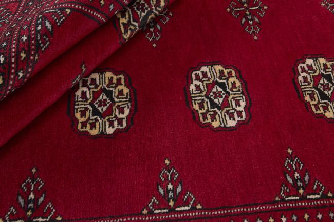 Pakistan Buchara 2ply - 2