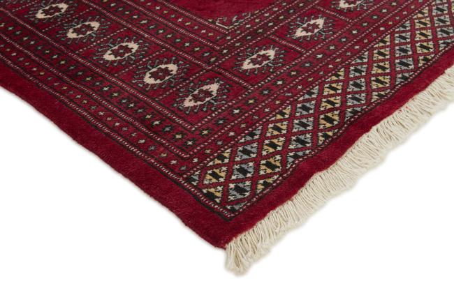 Pakistan Buchara 2ply - 3