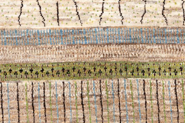Perser Gabbeh Loribaft Natura - 7