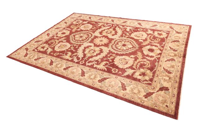 Ziegler Farahan - 1