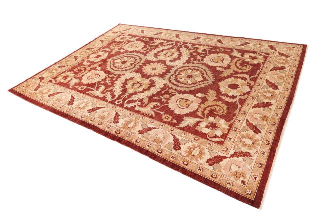 Ziegler Farahan - 2