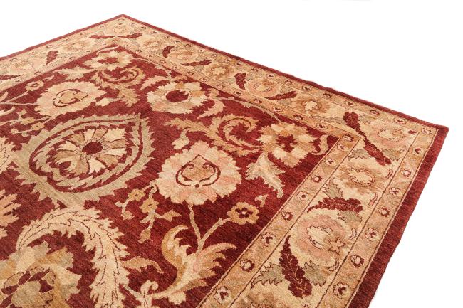 Ziegler Farahan - 3