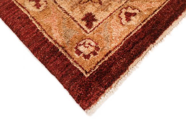 Ziegler Farahan - 5