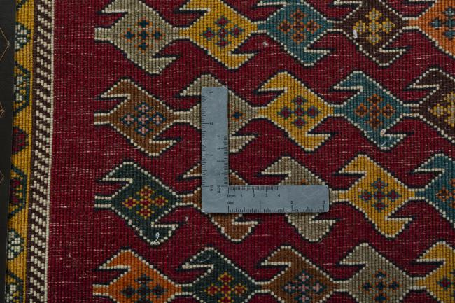 Shiraz - 4