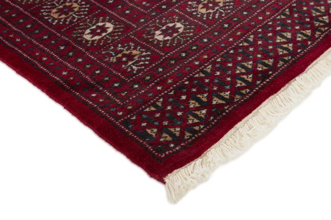 Pakistan Buchara 2ply - 3