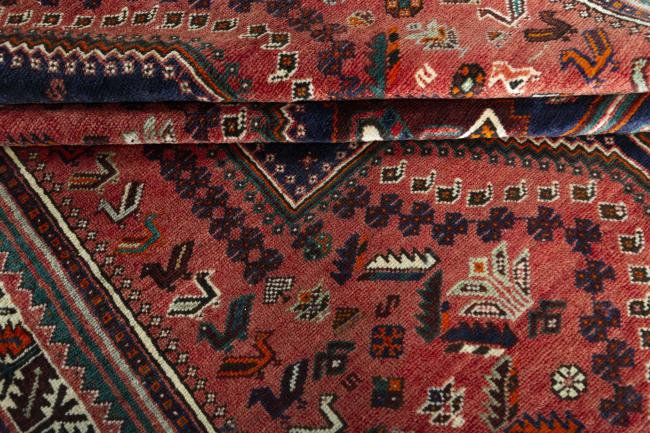 Shiraz - 8