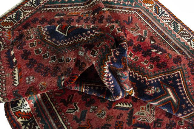 Shiraz - 9