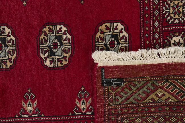 Pakistan Buchara 2ply - 1