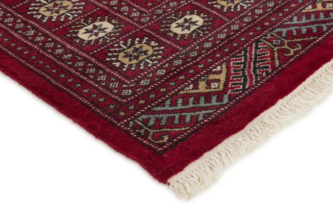 Pakistan Buchara 2ply - 3