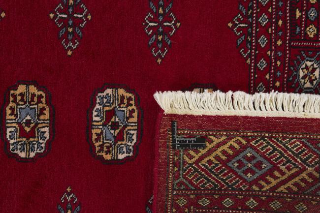 Pakistan Buchara 2ply - 1
