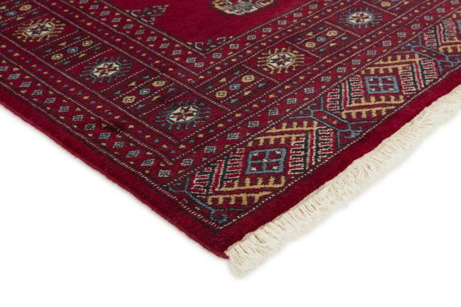 Pakistan Buchara 2ply - 3