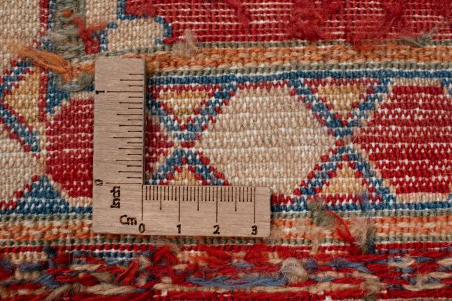 Ziegler Farahan - 10