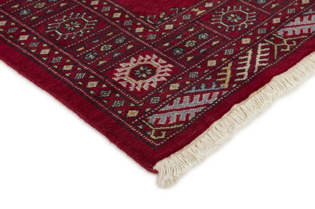 Pakistan Buchara 2ply - 3