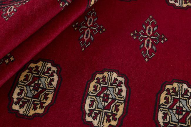 Pakistan Buchara 2ply - 2