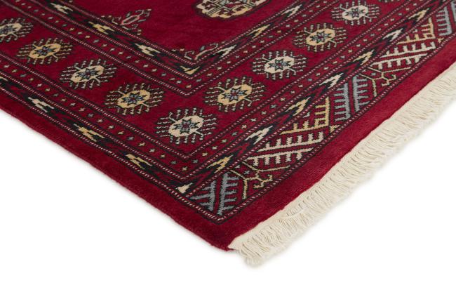 Pakistan Buchara 2ply - 3