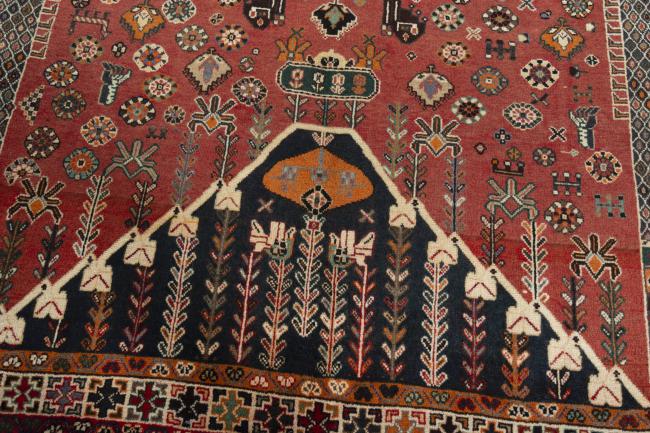 Shiraz - 6