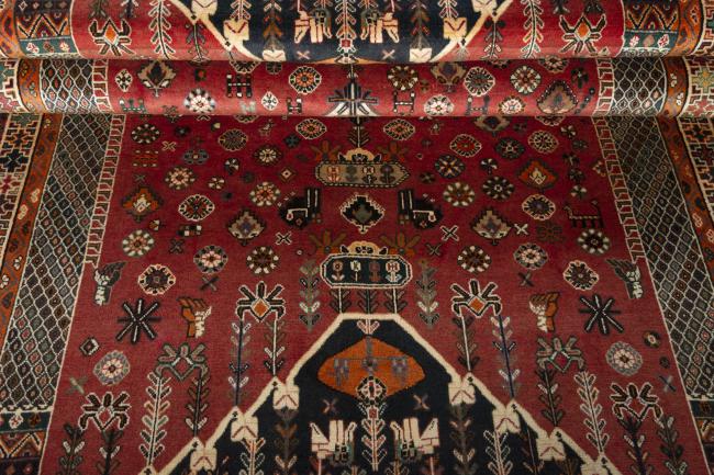 Shiraz - 9