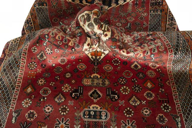 Shiraz - 10