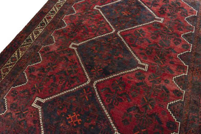 Shiraz - 4