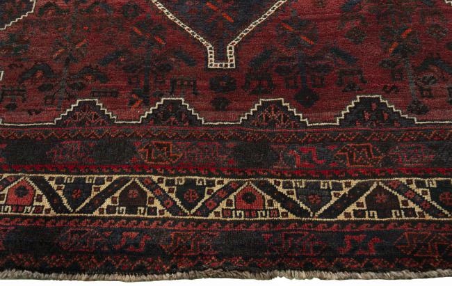 Shiraz - 5