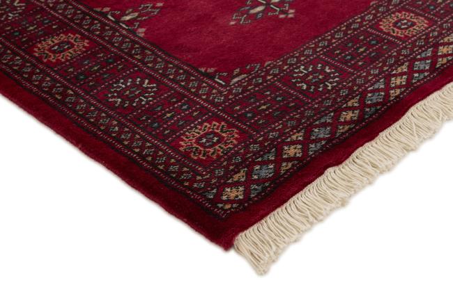 Pakistan Buchara 2ply - 3