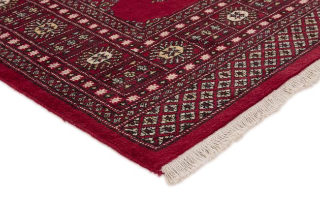 Pakistan Buchara 2ply - 3