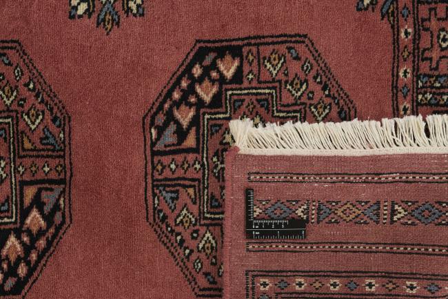 Pakistan Buchara 3ply - 1