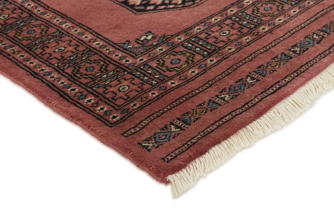 Pakistan Buchara 3ply - 3