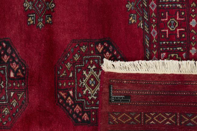 Pakistan Buchara 3ply - 1