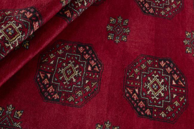 Pakistan Buchara 3ply - 2