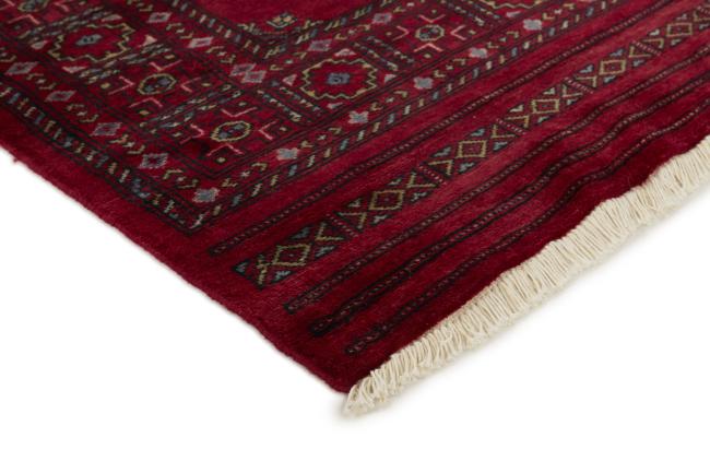 Pakistan Buchara 3ply - 3