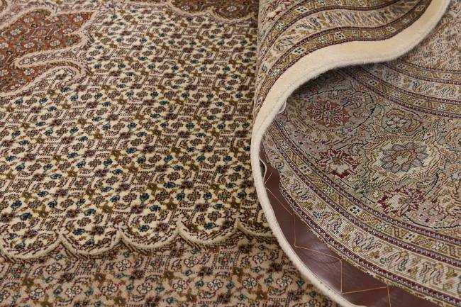 Tabriz 50 Mahi Sherkat - 5