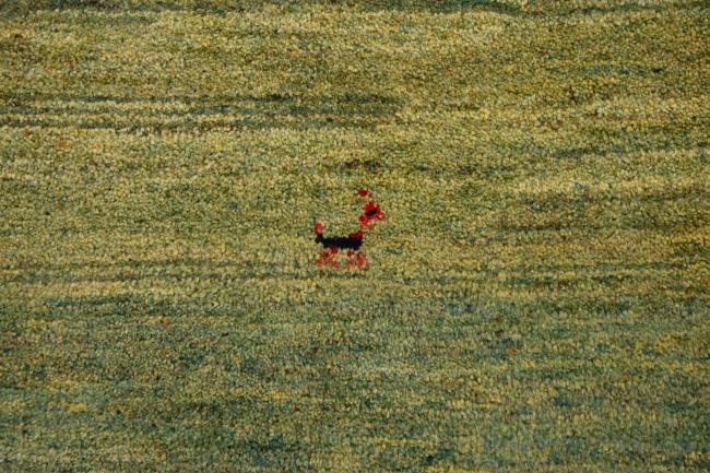 Persisk Gabbeh Pure - 7