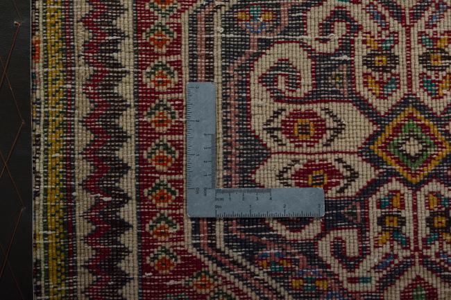 Shiraz - 4