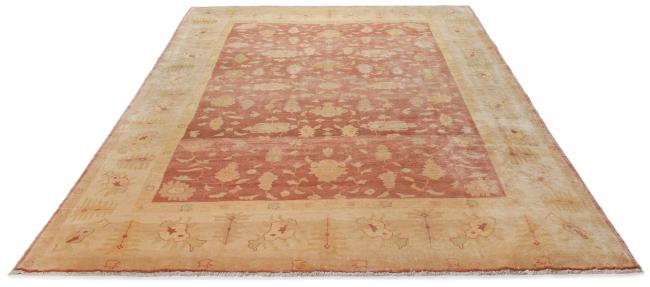 Ziegler Farahan - 3