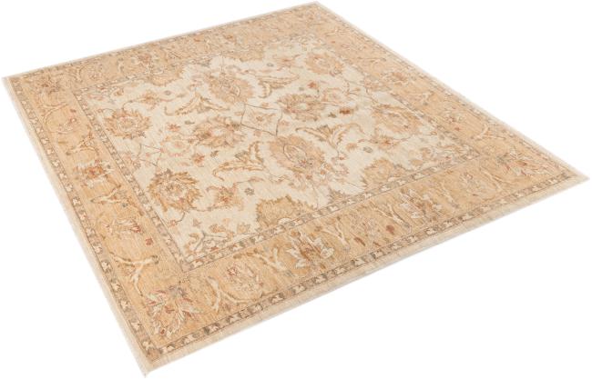 Ziegler Farahan - 2