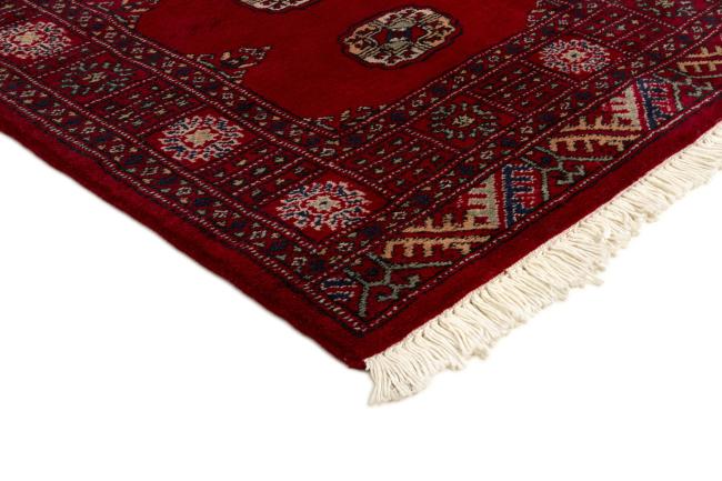 Pakistan Buchara 3ply - 3