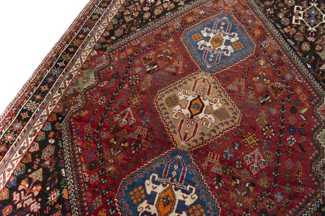 Shiraz - 4